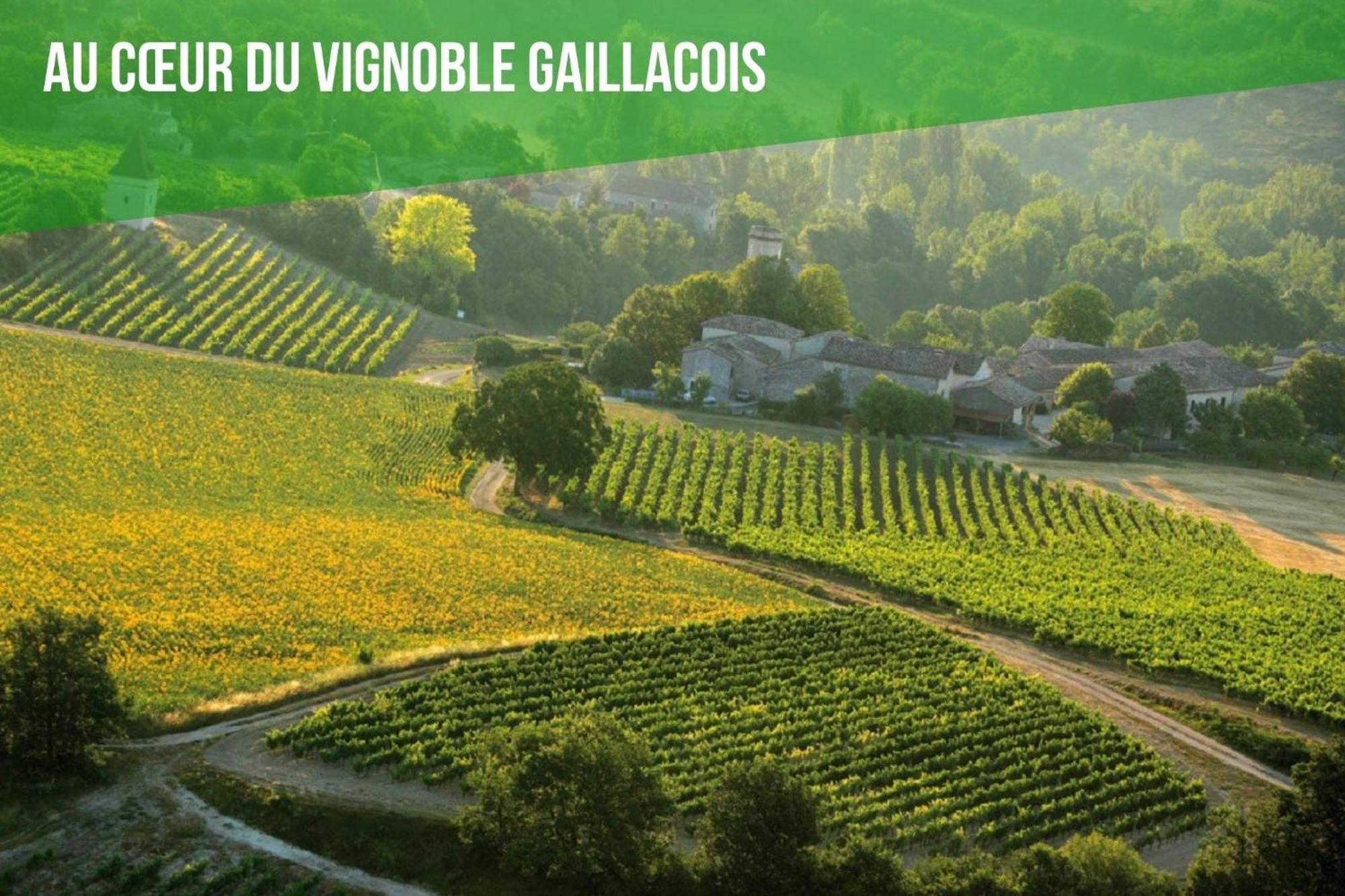 Le Cottage Nature Vigne Rouge Sauna Gaillac Entre Albi-Toulouse & Les Cottages Du Tarn Brens  Exteriör bild